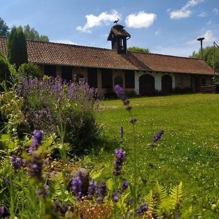 Farm stay Terra Natangia *