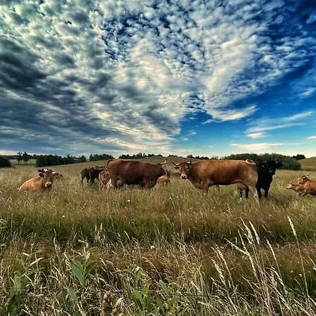 Feriegård Terra Natangia Gorowo Ilaweckie