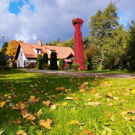 Terra Natangia Agroturismo Gorowo Ilaweckie