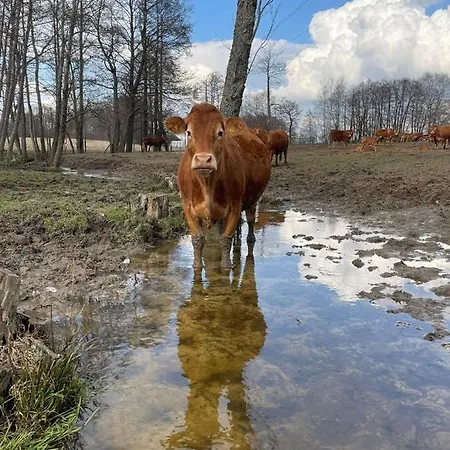 Terra Natangia Farma *