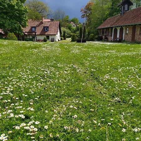 Farm stay Terra Natangia *